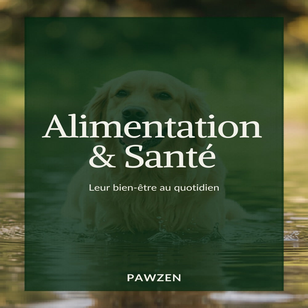 Alimentation et santé chien et chat - Pawzen