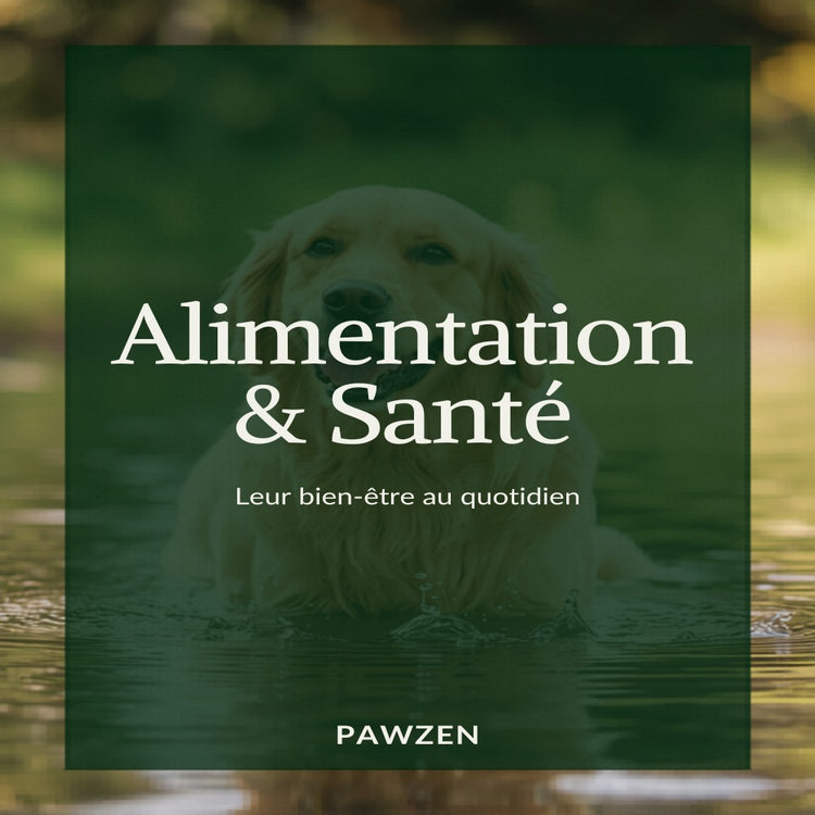 Alimentation et santé chien et chat - Pawzen