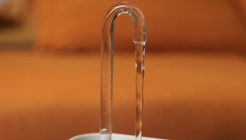 Fontaine à eau filtrante silencieuse pour chat et chien - Pawzen