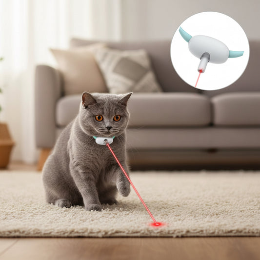 Collier laser interactif rechargeable pour chat - Pawzen