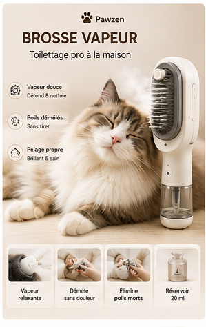 Brosse vapeur 3-en-1 Pawzen pour chien et chat